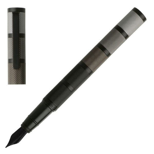 Stylo Plume Evolution