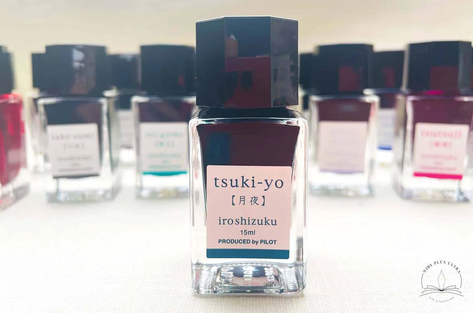 Encre PILOT Iroshizuku 15 ml